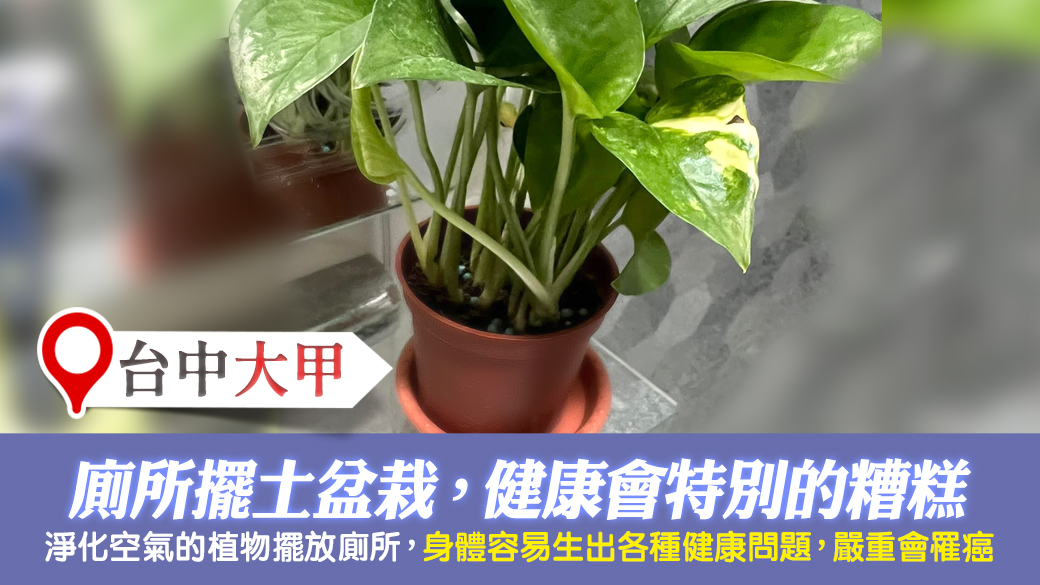 台中大甲-廁所放土盆栽健康會特別差---張定瑋老師風水勘嶼