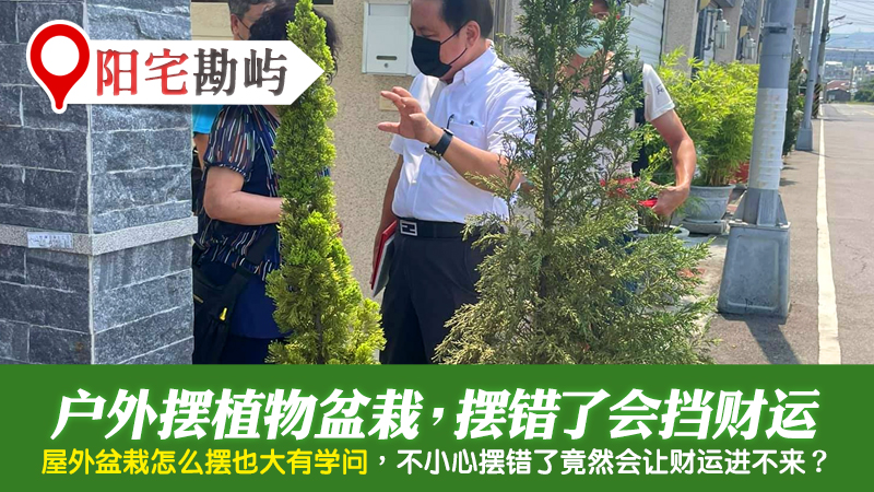 户外植物盆栽摆错会挡财运---张定玮老师风水勘屿