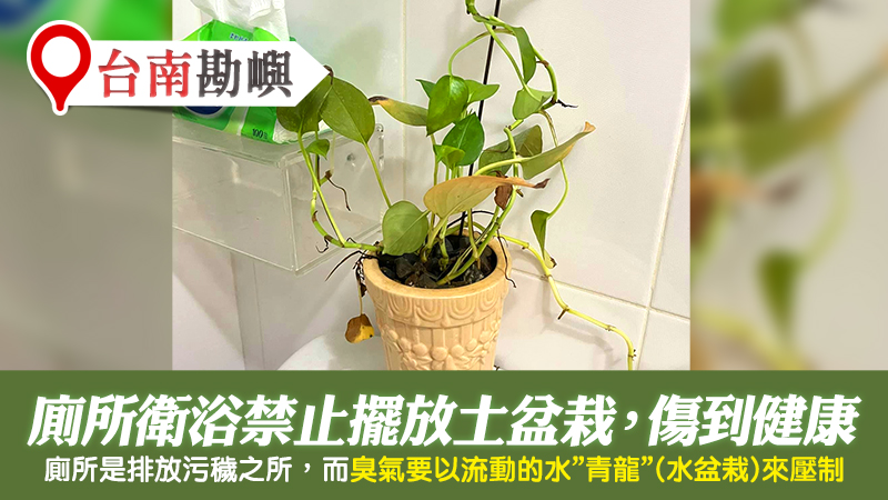 台南-廁所禁止放土盆栽---張定瑋老師風水勘嶼