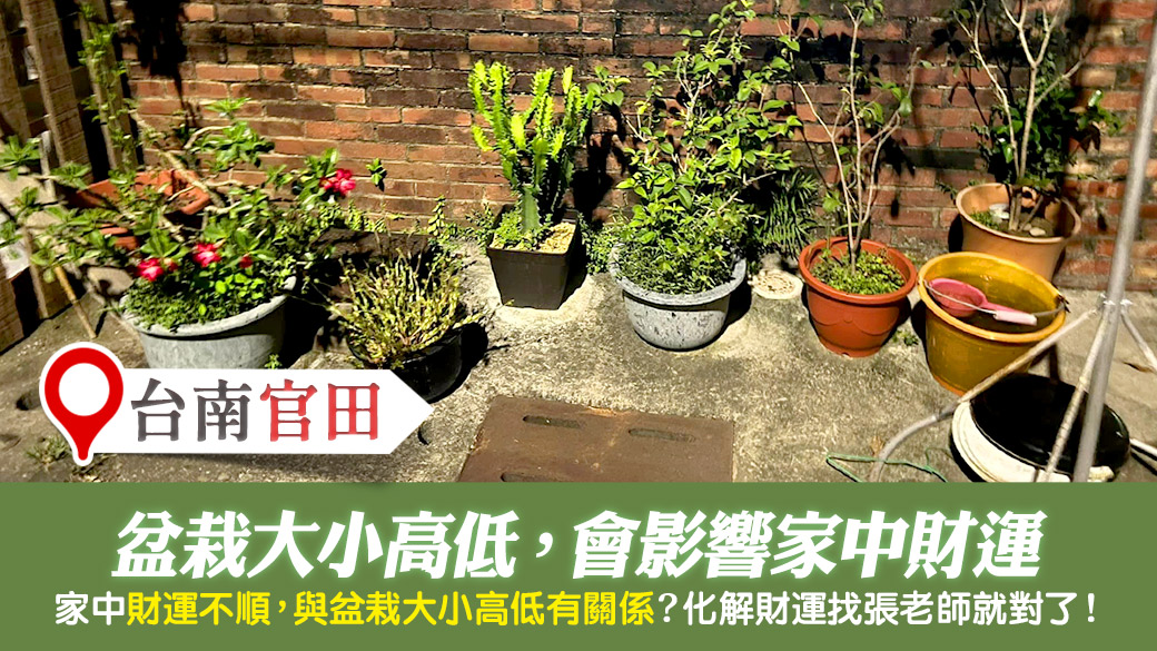台南官田-盆栽大小高低會影響財運---張定瑋老師風水勘嶼