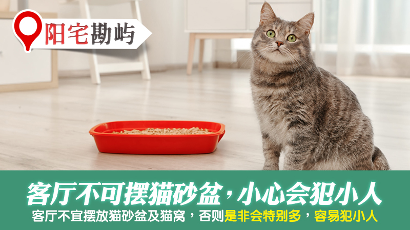 客厅不可摆猫砂盆会犯小人---张定玮老师风水勘屿