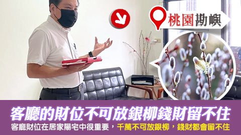 桃園-客廳的財位不可放銀柳錢財會留不住---張定瑋老師風水勘嶼
