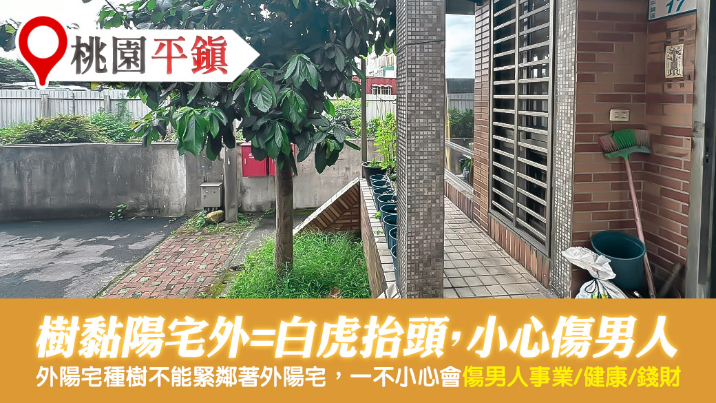 桃園平鎮-樹黏到外陽宅白虎抬頭傷男人---張定瑋老師風水勘嶼