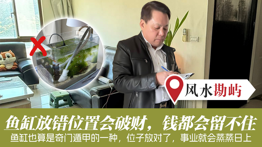 紫微斗数重要吗？鱼缸放错位置会破财 #算命 #过房书倒房处理 #车牌选号 #净宅服务