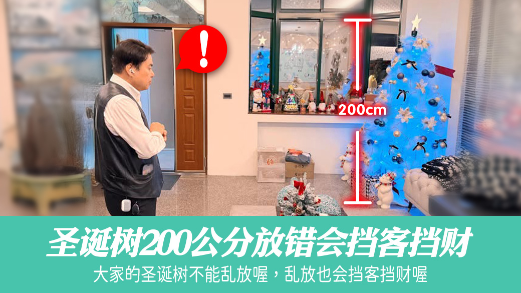圣诞树200公分放错会挡客挡财#张定玮老师风水勘屿