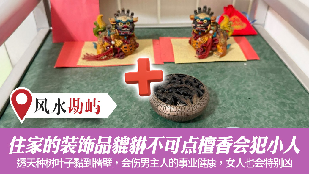 住家的装饰品貔貅不可点檀香会犯小人#张定玮老师风水勘屿
