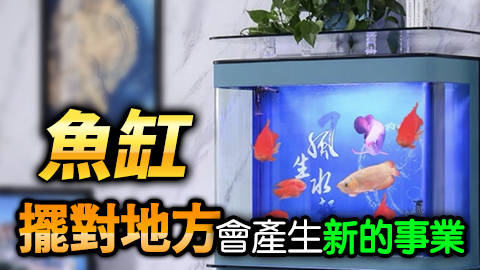 魚缸擺對地方會產生新的事業---張定瑋老師