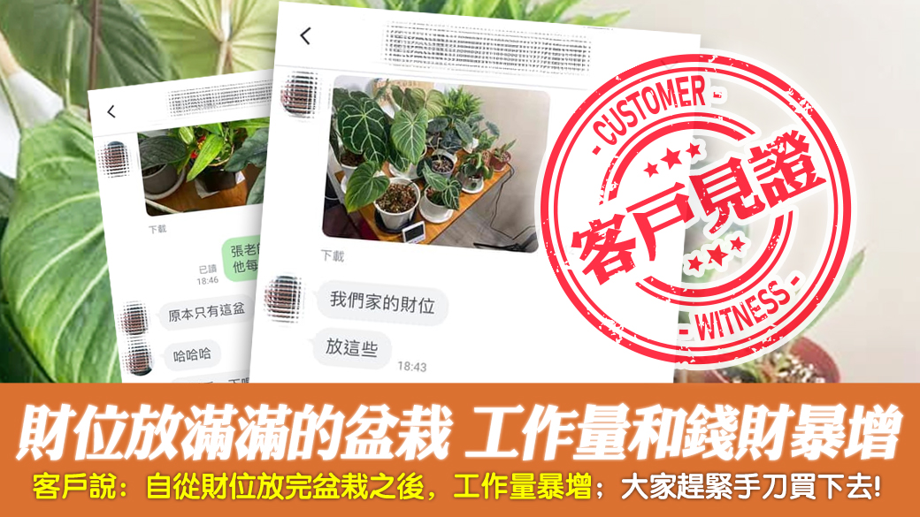 客戶見證-財位放滿滿的盆栽工作量和錢財暴增---張定瑋老師