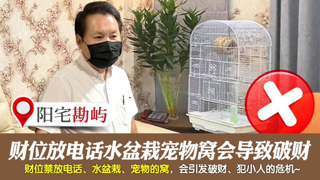 财位放电话水植物宠物窝会导致破财---张定玮老师风水勘屿