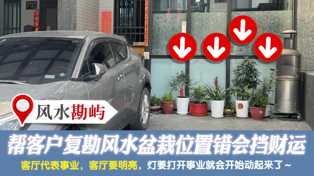 帮客户复勘风水盆栽位置错会挡财运---张定玮老师风水勘屿